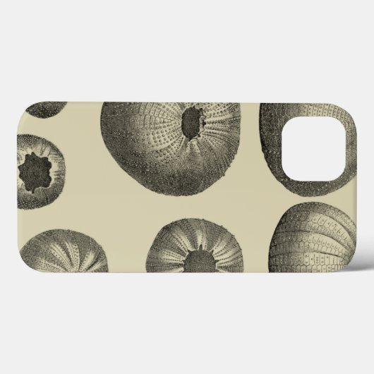 ヒトデ Case-Mate iPhoneケース (裏面 (横))