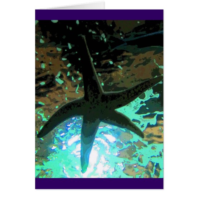 ヒトデCB (正面)