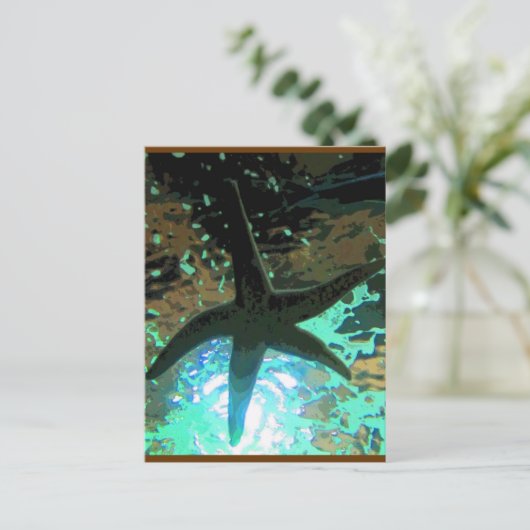 ヒトデCB ポストカード (スタンド正面)