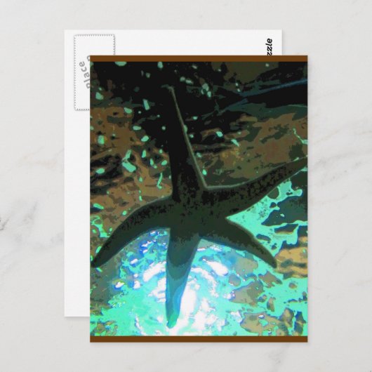 ヒトデCB ポストカード (正面/裏面)