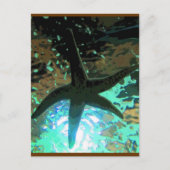 ヒトデCB ポストカード (正面)