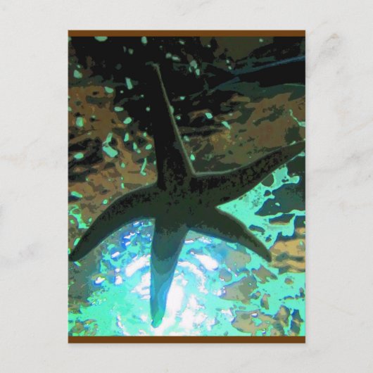 ヒトデCB ポストカード (正面)