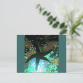 ヒトデCB ポストカード (スタンド正面)