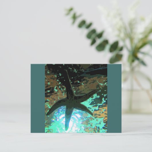 ヒトデCB ポストカード (スタンド正面)