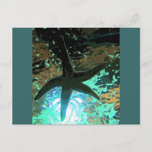 ヒトデCB ポストカード (正面)