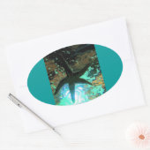 ヒトデCB 楕円形シール (封筒)