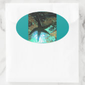 ヒトデCB 楕円形シール (バッグ)