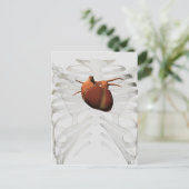 ヒトハート及びリブケージの医療イラストレーション ポストカード (スタンド正面)