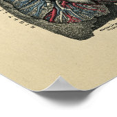 ヒトハート肺1902ヴィンテージプリント ポスター (角)