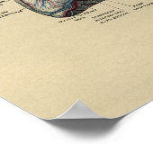 ヒトハート解剖学1902ヴィンテージプリント ポスター (角)