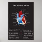 ヒトハート ポスター (正面)