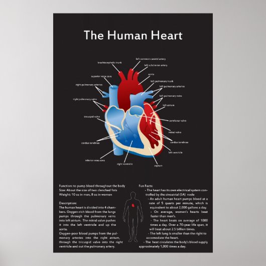 ヒトハート ポスター (正面)