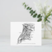 ヒトヴィンテージの首の筋肉 ポストカード (スタンド正面)