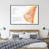 ヒト乳腺の断面図 キャンバスプリント (インサイチュ (寝室))