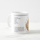 ヒト乳腺の断面図 コーヒーマグカップ (正面左)