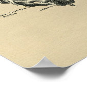 ヒト仙骨解剖学1902ヴィンテージプリント ポスター (角)