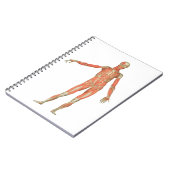 ヒト体構造 ノートブック (左側)