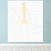 ヒト体神経系体図 キャンバスプリント (インサイチュ (ウッドフロア))