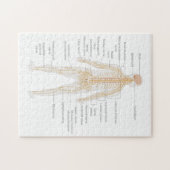 ヒト体神経系体図 ジグソーパズル (横)