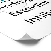 ヒト内分泌系生殖ホルモンチャート ポスター (角)