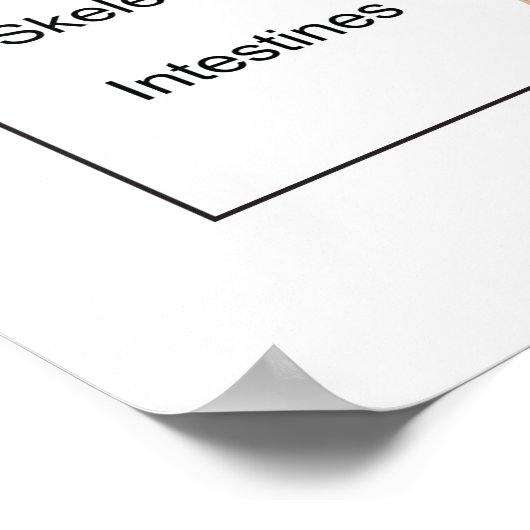 ヒト内臓図 ポスター (角)