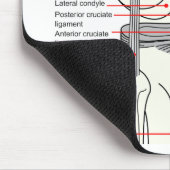 ヒト右膝関節解剖図 マウスパッド (コーナー)