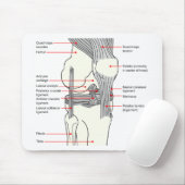 ヒト右膝関節解剖図 マウスパッド (マウス)
