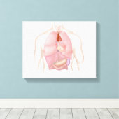 ヒト呼吸器消化器系 キャンバスプリント (インサイチュ (ウッドフロア))