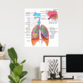 ヒト呼吸器系の図 ポスター (ホームオフィス)