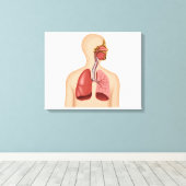 ヒト呼吸器系の解剖学 キャンバスプリント (インサイチュ (ウッドフロア))