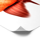 ヒト呼吸器系の解剖学、前面 ポスター (角)