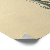 ヒト大腿骨解剖学1902ヴィンテージプリント ポスター (角)