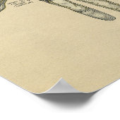 ヒト手解剖学1902ヴィンテージプリント ポスター (角)