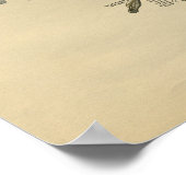 ヒト手解剖学1902ヴィンテージプリント ポスター (角)