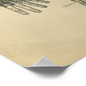 ヒト手解剖学1902ヴィンテージプリント ポスター (角)