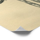 ヒト手解剖学1902ヴィンテージプリント ポスター (角)