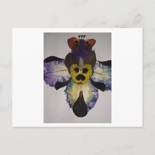 ヒト昆虫 ポストカード (正面)