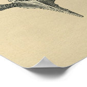 ヒト椎骨解剖学1902ヴィンテージプリント ポスター (角)