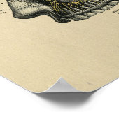 ヒト歯科神経解剖学1902ヴィンテージプリント ポスター (角)