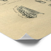 ヒト歯科解剖学1902ヴィンテージプリント ポスター (角)