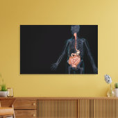 ヒト消化器系の配置 キャンバスプリント (インサイチュ (リビング))