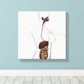 ヒト消化器系1 キャンバスプリント (インサイチュ (ウッドフロア))