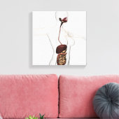 ヒト消化器系1 キャンバスプリント (インサイチュ (リビング))