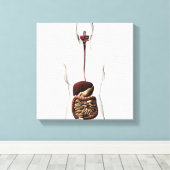 ヒト消化器系2 キャンバスプリント (インサイチュ (ウッドフロア))