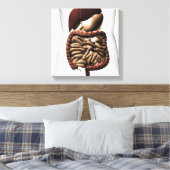 ヒト消化器系5 キャンバスプリント (インサイチュ (寝室))