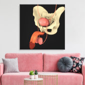 ヒト男性生殖器系2 キャンバスプリント (インサイチュ (リビング))