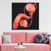 ヒト男性生殖器系3 キャンバスプリント (インサイチュ (リビング))