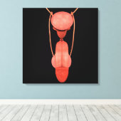 ヒト男性生殖器系5 キャンバスプリント (インサイチュ (ウッドフロア))