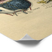 ヒト眼解剖学1902ヴィンテージプリント ポスター (角)