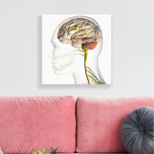 ヒト神経系の医学的イラストレーション1 キャンバスプリント (インサイチュ (リビング))